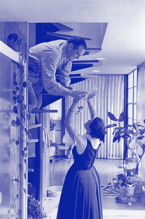 Poster of THE EAMES HOUSES: A CASE STUDY